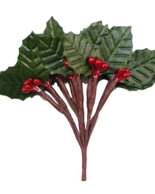 Holly Leaf with Berries