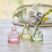 Hop Hop Hooray Coloured Glass Bud Vases