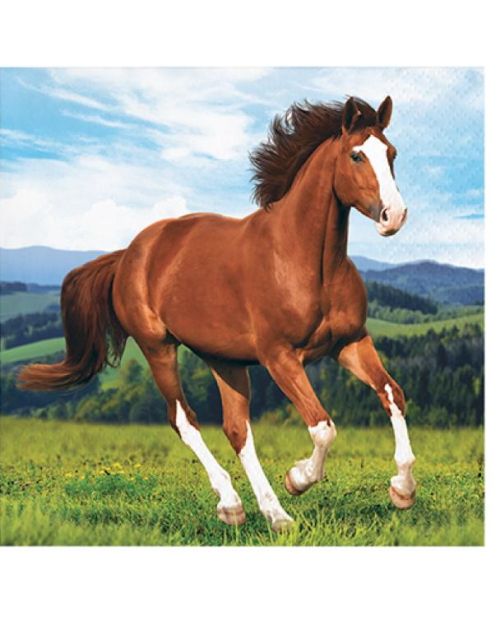Horse & Pony Beverage Napkins 16pk