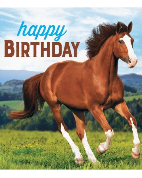 Horse & Pony Happy Birthday Lunch Napkins 16pk