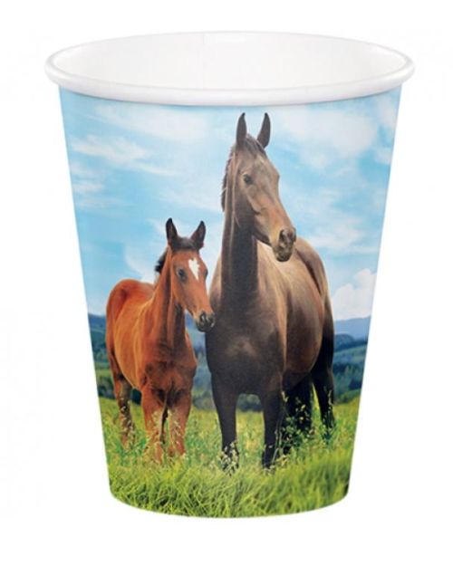 Horse & Pony Cups 8pk