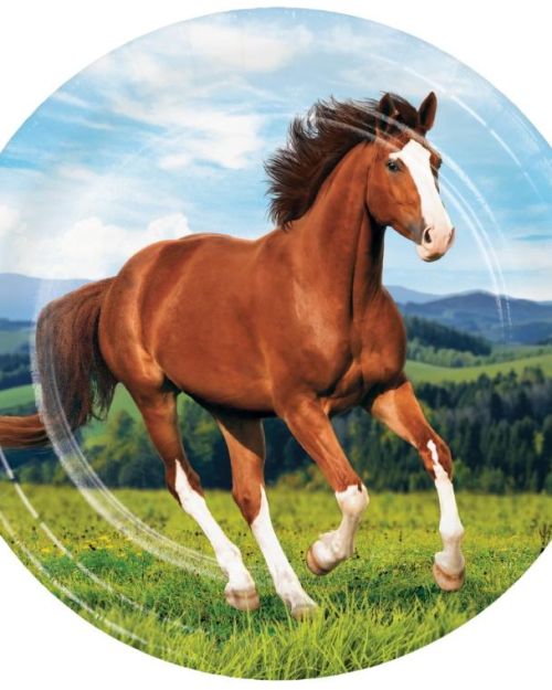 Horse & Pony Dinner Plates 8pk