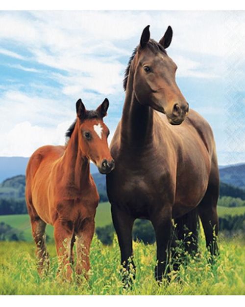 Horse & Pony Lunch Napkins 16pk