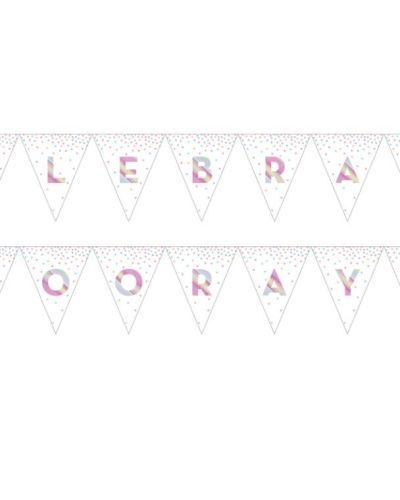 Iridescent Celebration Bunting