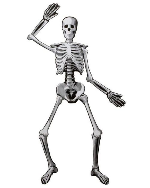 Jointed Skeleton Cutout