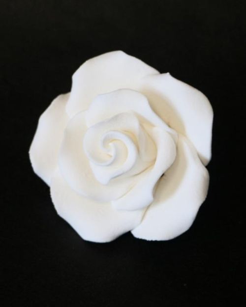 Gumpaste White Rose – Large