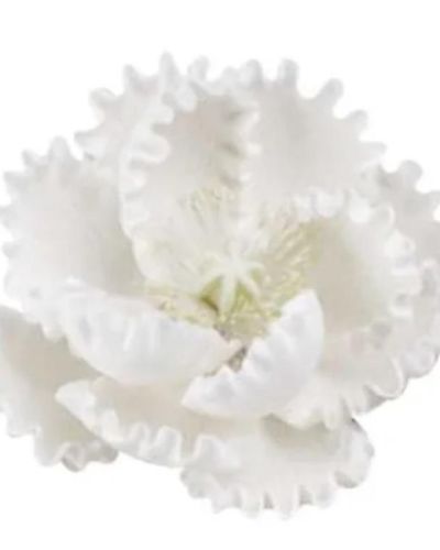 Single Gumpaste Large Peony – White