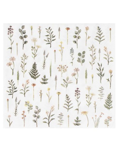 Let’s ParTea Floral Beverage Napkins 16pk