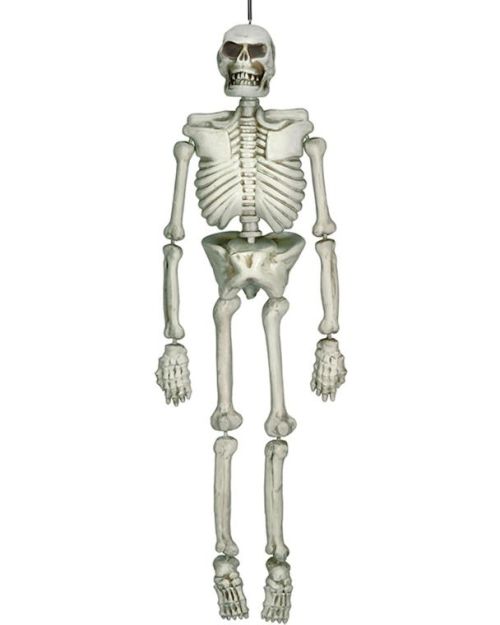 Life Size Hanging Skeleton