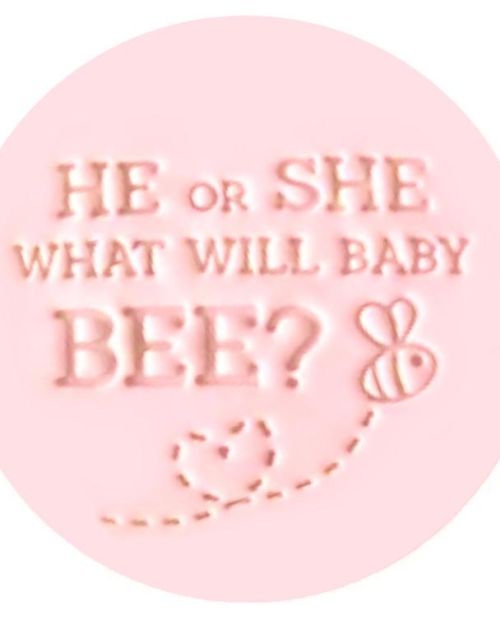 Little Biskut What Will Baby Bee? Embosser
