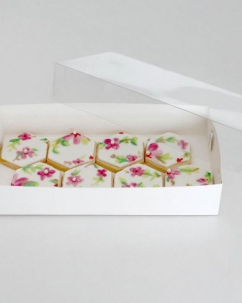 LOYAL Clear Lid Biscuit Box 9 x 4.5in