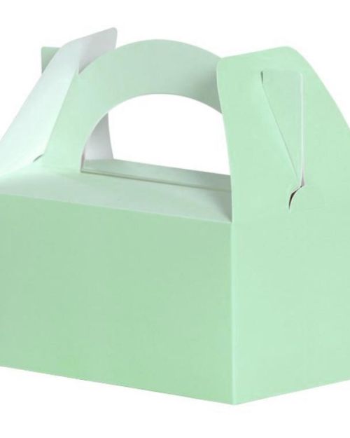 Lunch Boxes 5pk Mint Green