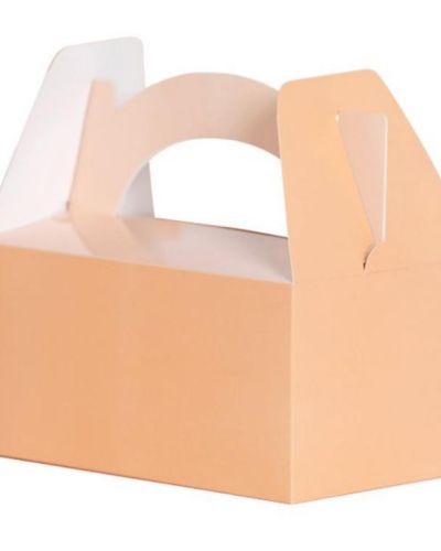 Lunch Boxes 5pk Peach