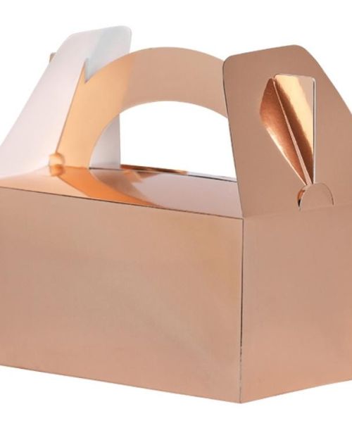 Lunch Boxes 5pk Rose Gold