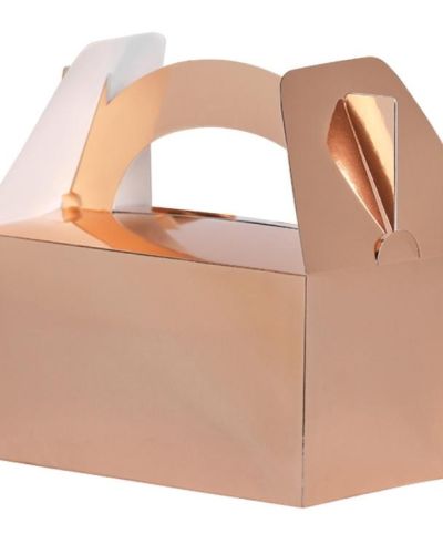 Lunch Boxes 5pk Rose Gold