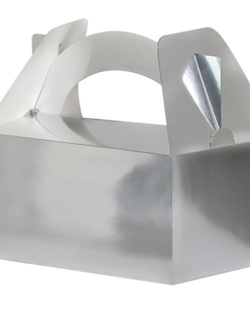 Lunch Boxes 5pk Silver