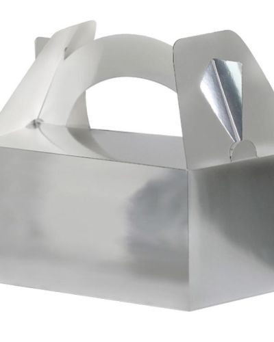 Lunch Boxes 5pk Silver