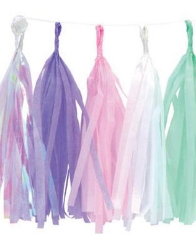 Tissue Tassel Party Garland – Iridescent