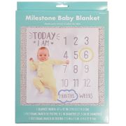 Milestone Baby Blanket