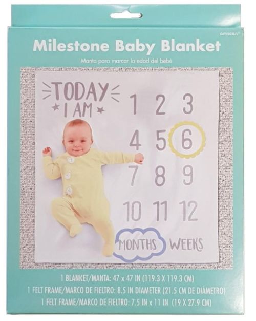 Milestone Baby Blanket