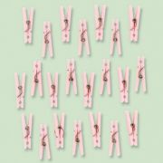 Baby Shower Mini Clothes Pegs 24pk Pink