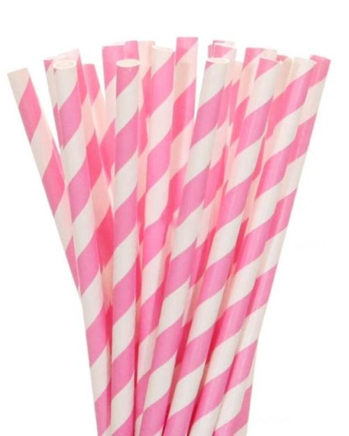 Paper Straws Pink Stripe 24pk