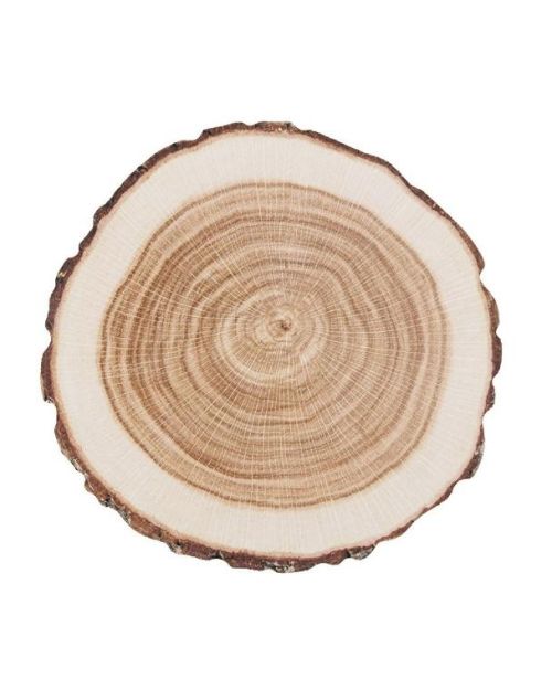 Paper Coasters – Tree Trunk 10pk