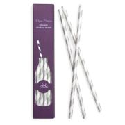 Paper Straws Silver Stripes 24pk