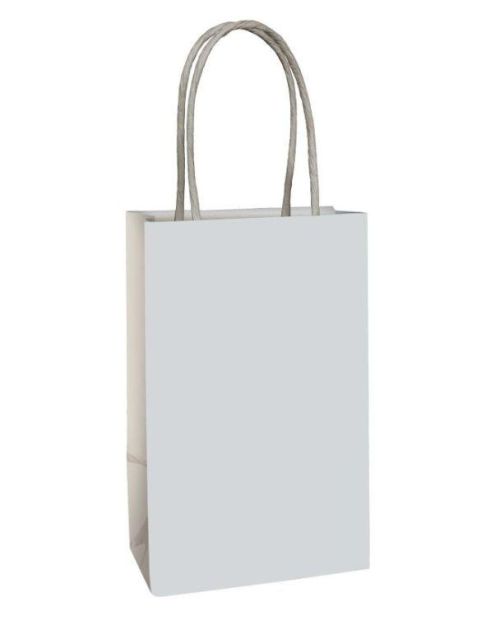 Paper Kraft Treat Bags 8pk – Frosty White