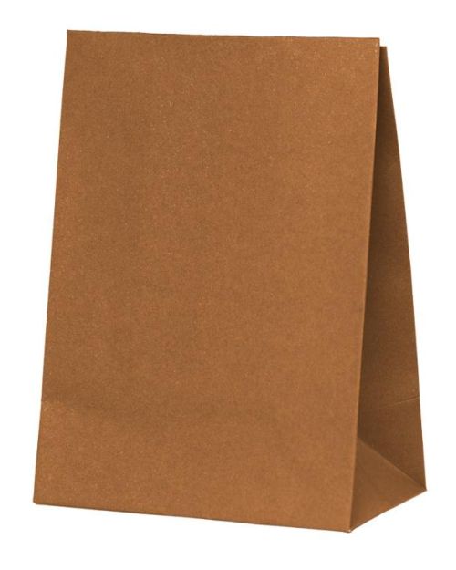 Paper Party Bags 10pk – Acorn
