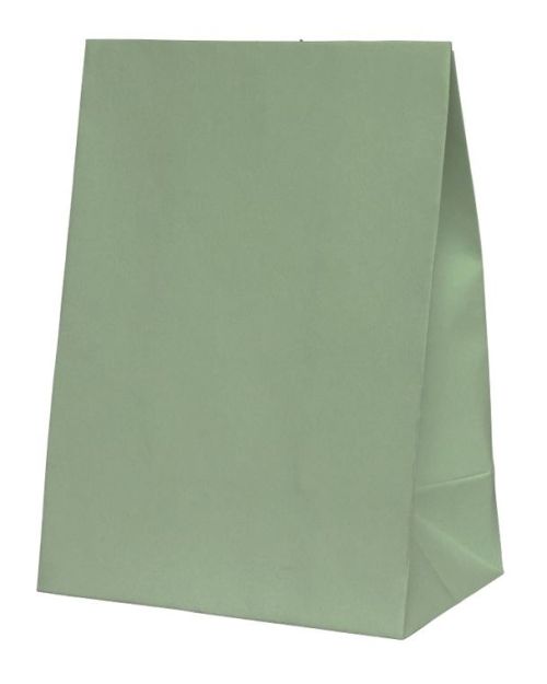 Paper Party Bags 10pk – Eucalyptus