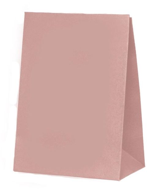Paper Party Bags 10pk – Rose