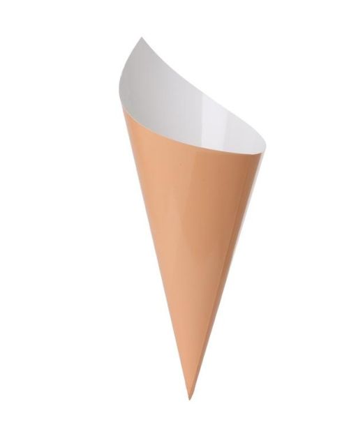 Paper Snack Cones 10pk Peach
