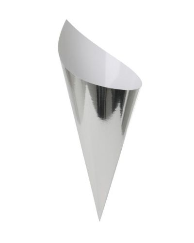 Paper Snack Cones 10pk Silver