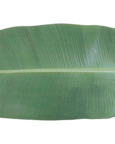 Paper Table Runner – Leaf