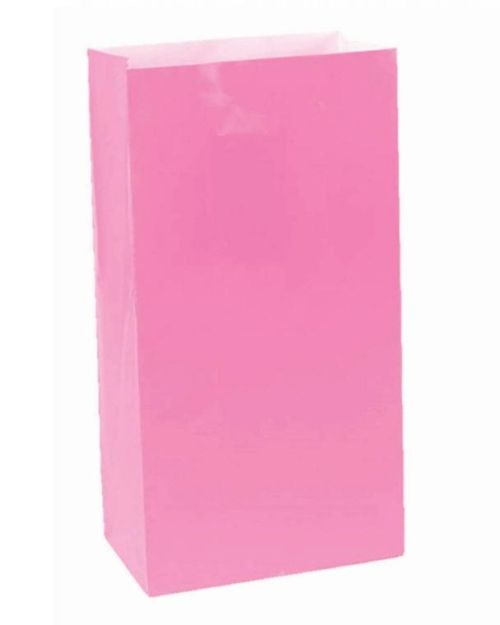 Paper Treat Bags 12pk Bright Pink