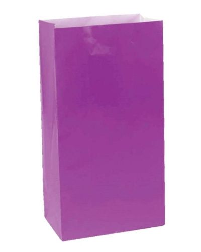 Paper Treat Bags 12pk Purple