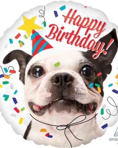 Party Dog Birthday Foil Balloon