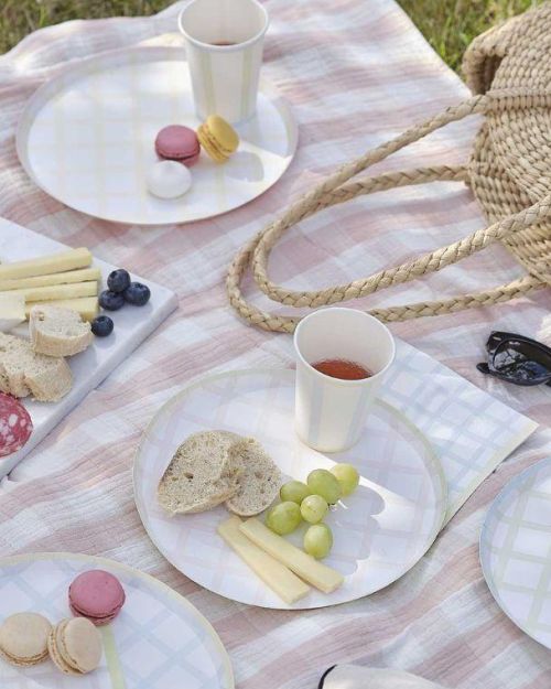 Pastel Gingham Dinner Plates 8pk