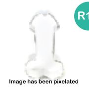 Male Anatomy Cookie Cutter