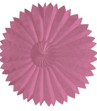 Tissue Fan Pink 25cm