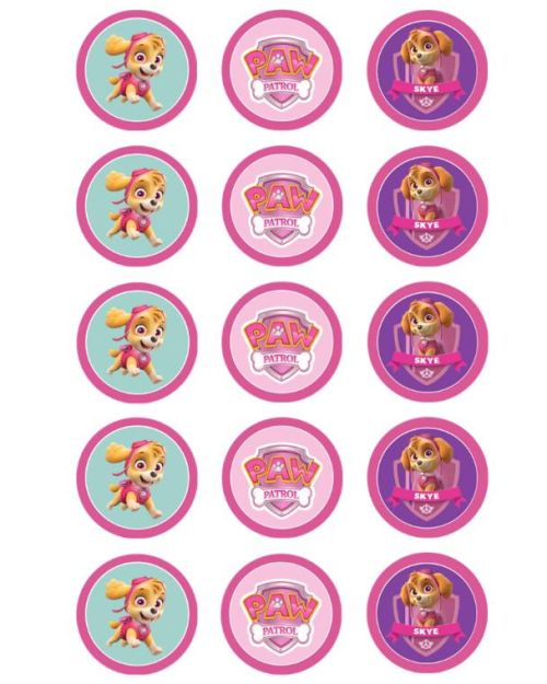 Edible Icing Cupcake Images – Skye Paw Patrol