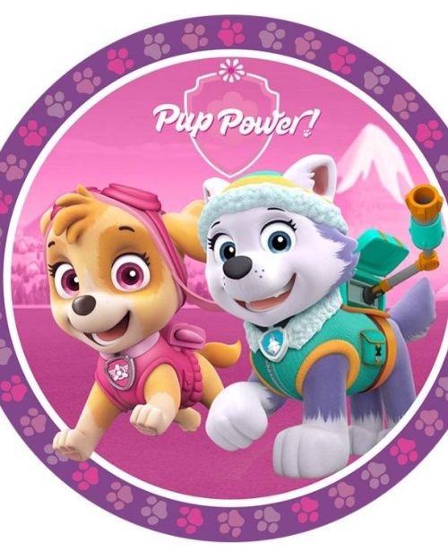 Edible Icing Image – Pink Paw Patrol Round