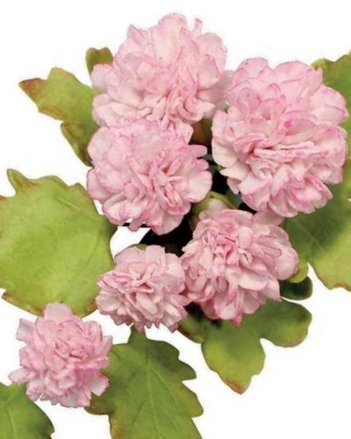 PME Carnation Cutter Set