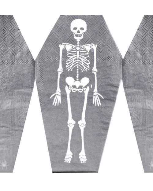 Pop Out Skeleton Coffin Napkins 16pk