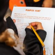 Pumpkin Treasure Hunt Kit