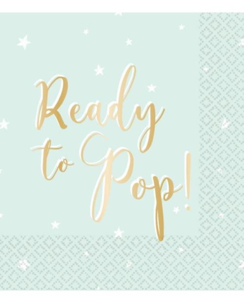 Ready to Pop Lunch Napkins 16pk
