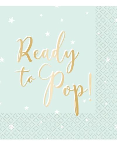 Ready to Pop Lunch Napkins 16pk