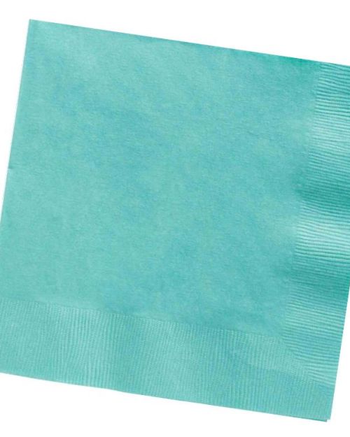 Robin’s Egg Blue Lunch Napkins – 20pk