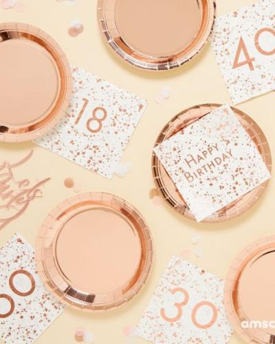 Rose Gold Dinner Plates 8pk